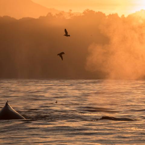a sunset over some water