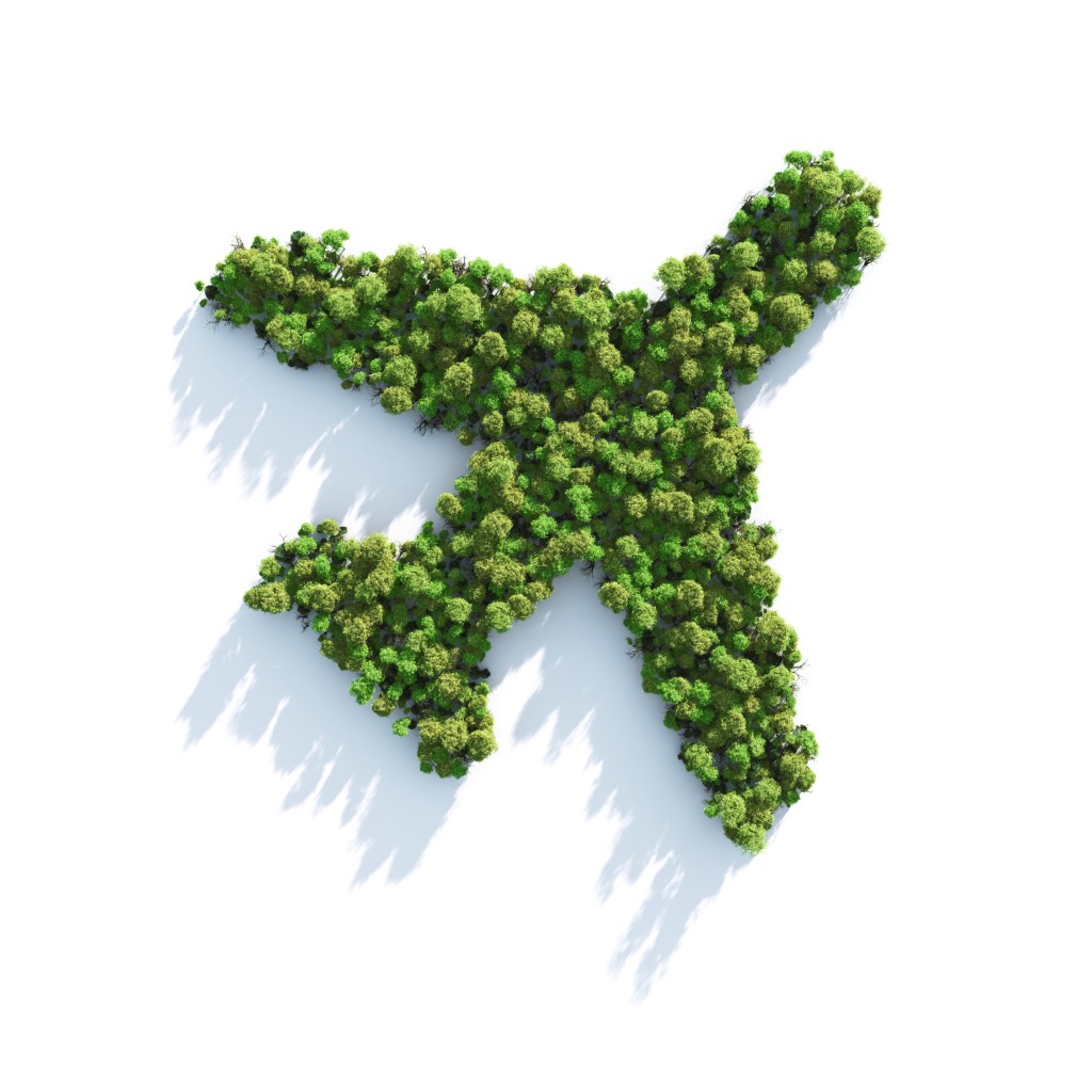 green-plane-1024×1024 shape, arrow
