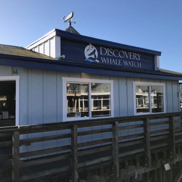 a house with a fence in front of a building