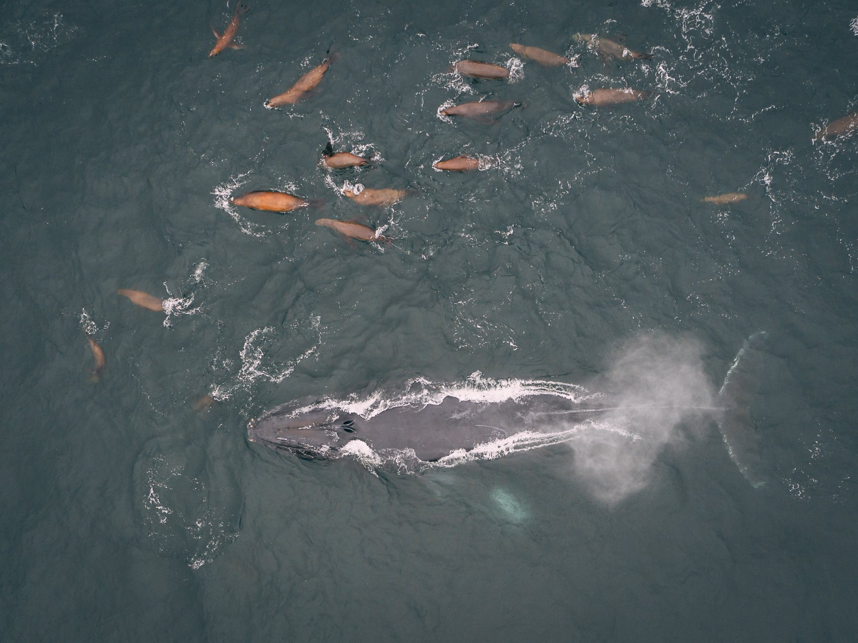 a group of people in the water