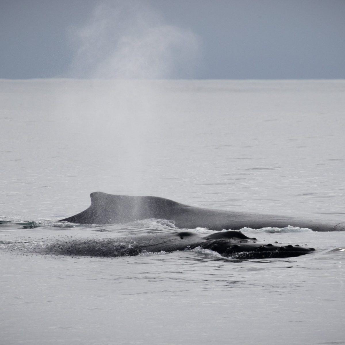 a man riding a wave on top of a body of water