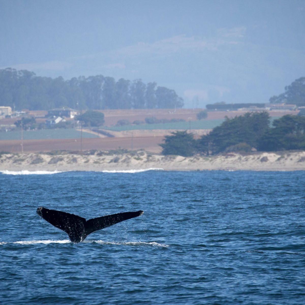 a small boat in a large body of water