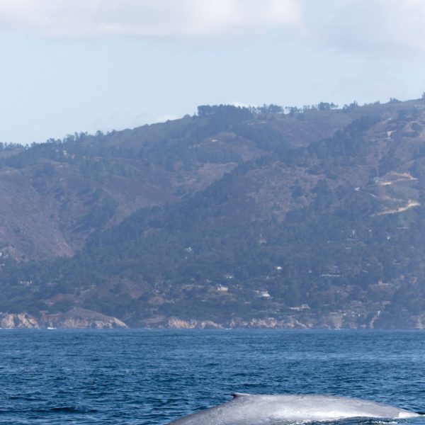 a body of water with a mountain in the background