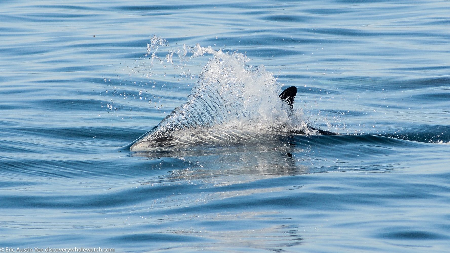 a person riding a wave on a surfboard in the water