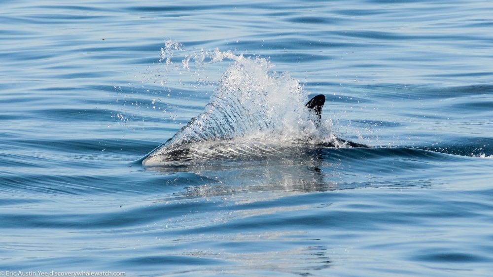 a person riding a wave on a surfboard in the water