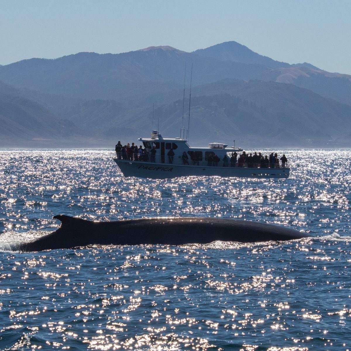 a ship in a body of water with a mountain in the background