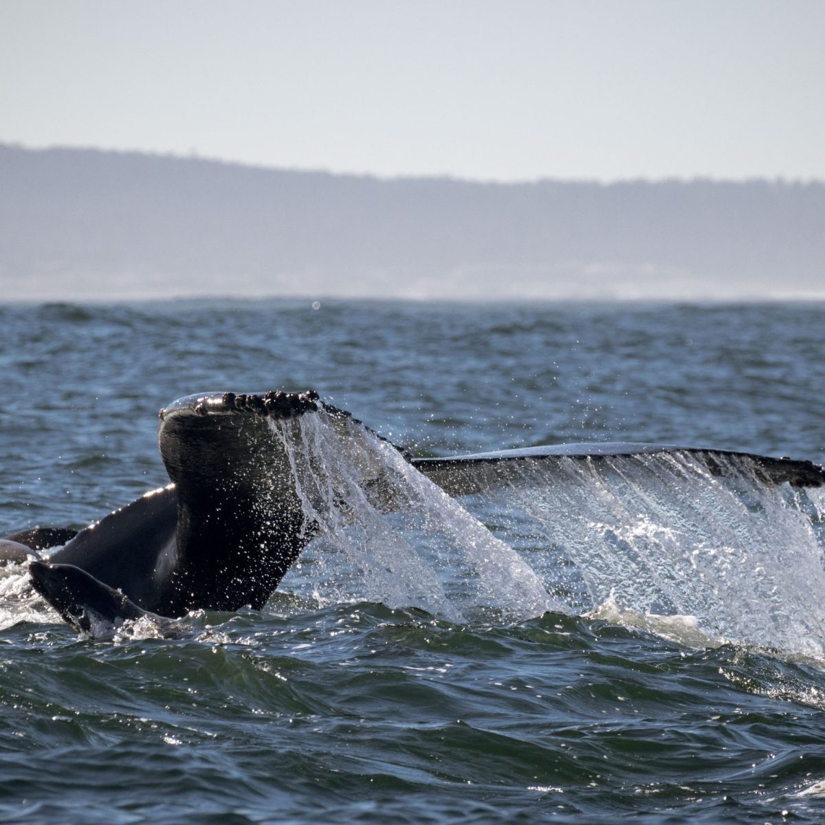 a man riding a wave on a surfboard in the water