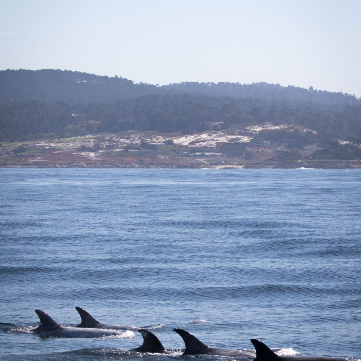 a large body of water