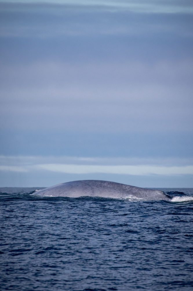 a large body of water