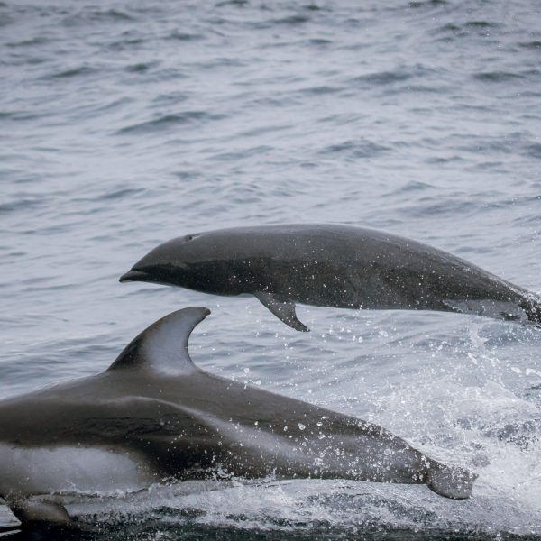 a man riding a wave on top of a body of water