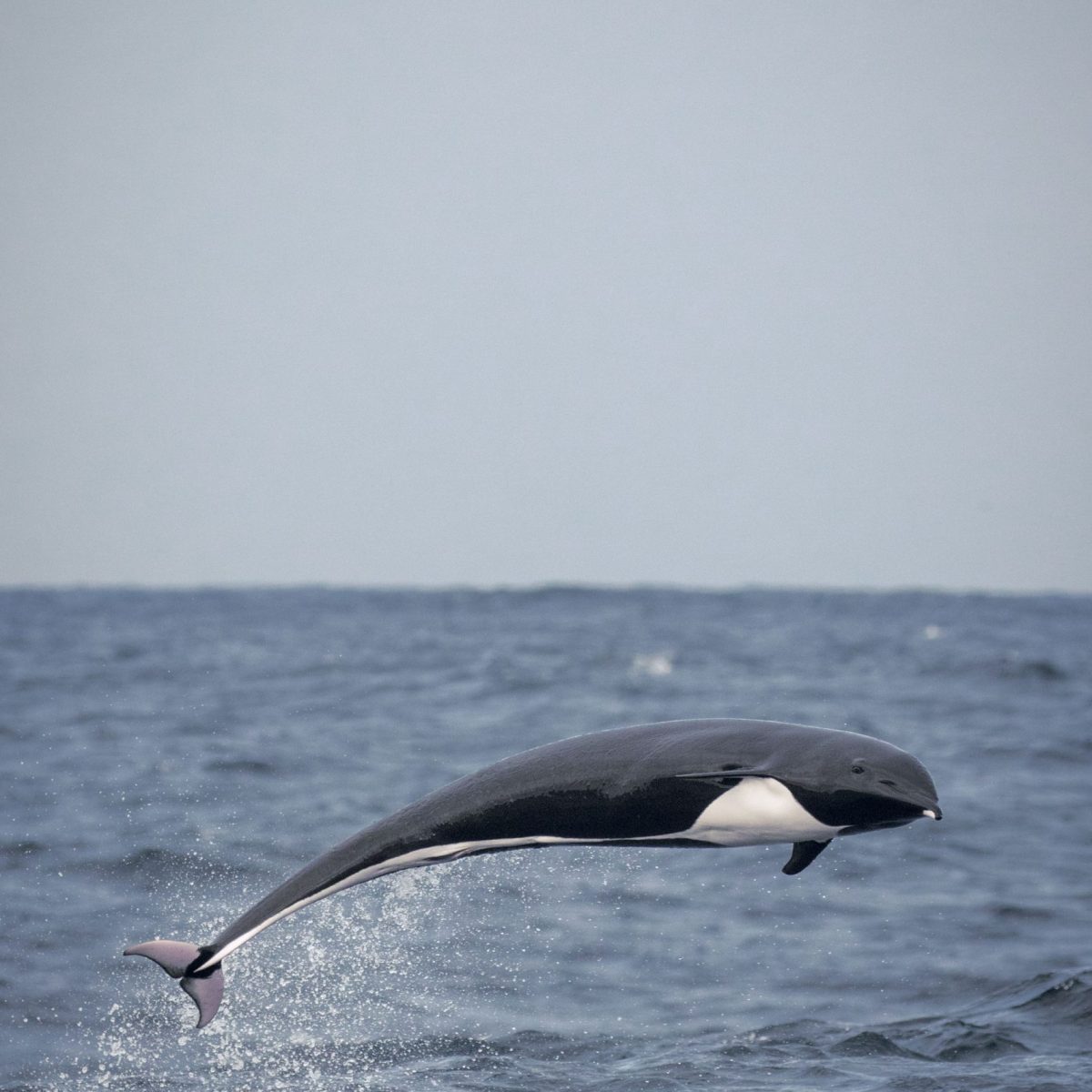 a man riding a wave on top of a body of water