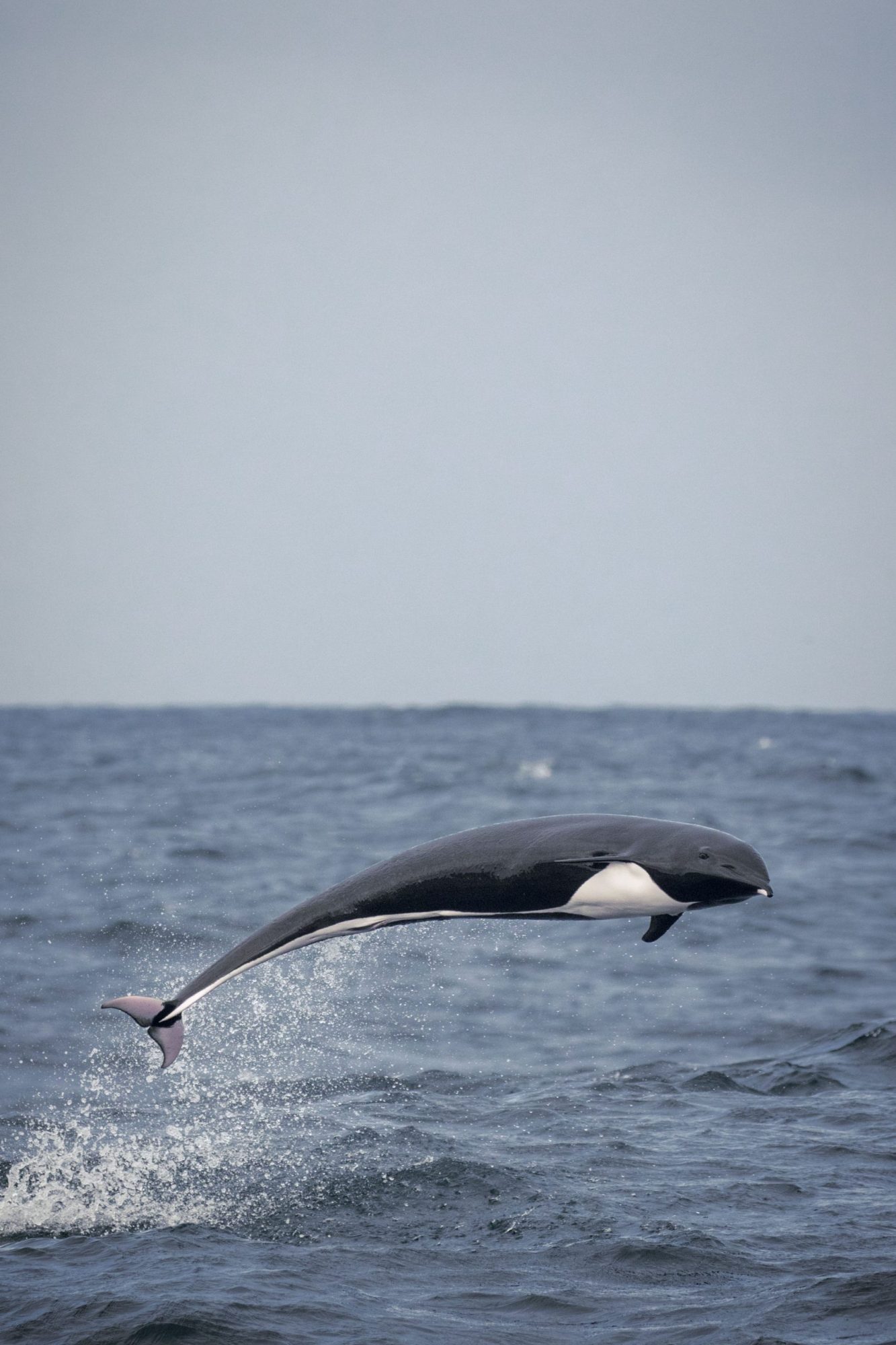 blog 18.12.19-4 a man riding a wave on top of a body of water