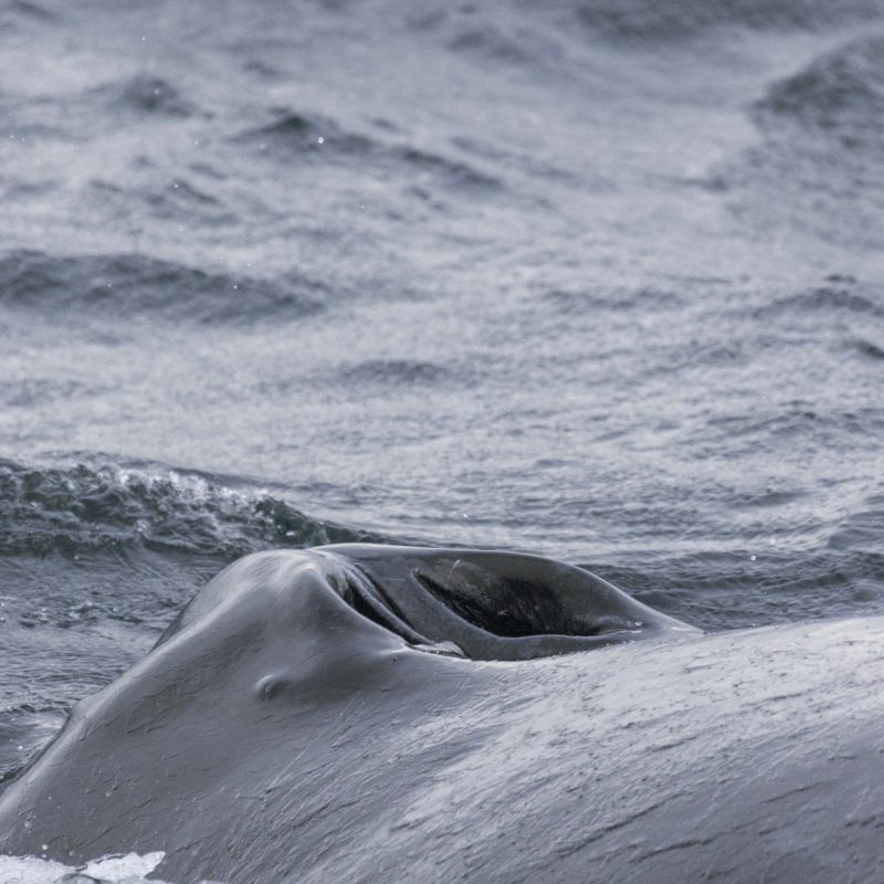 a man riding a wave on top of a body of water
