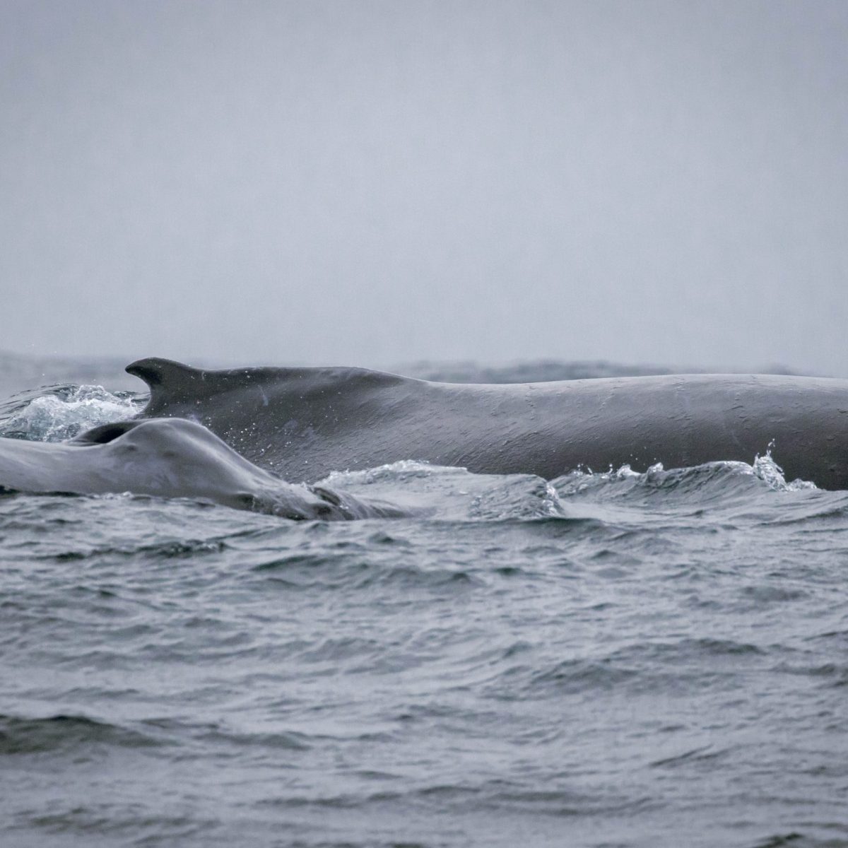 a large body of water