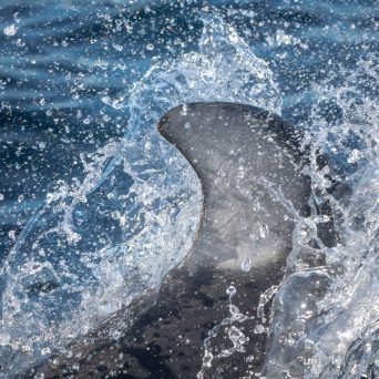 a man riding a wave on top of a body of water