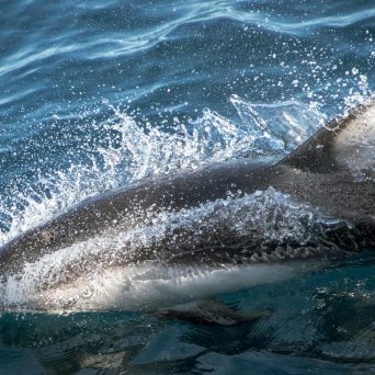 a man riding a wave on a surfboard in the water