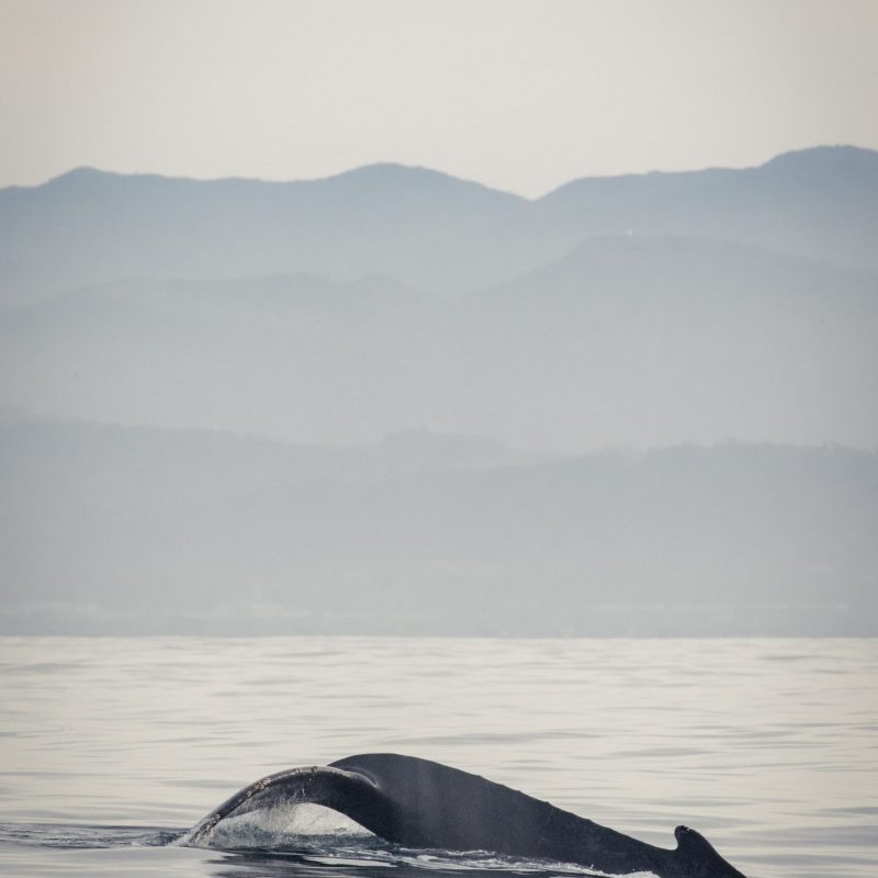 a large body of water