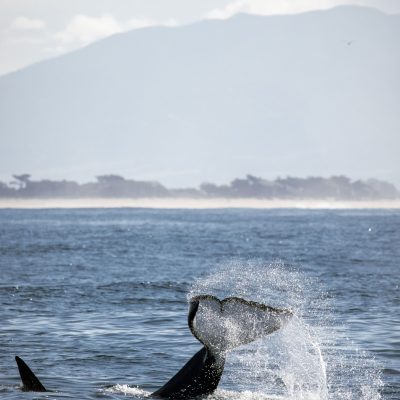 a man riding a wave on top of a body of water