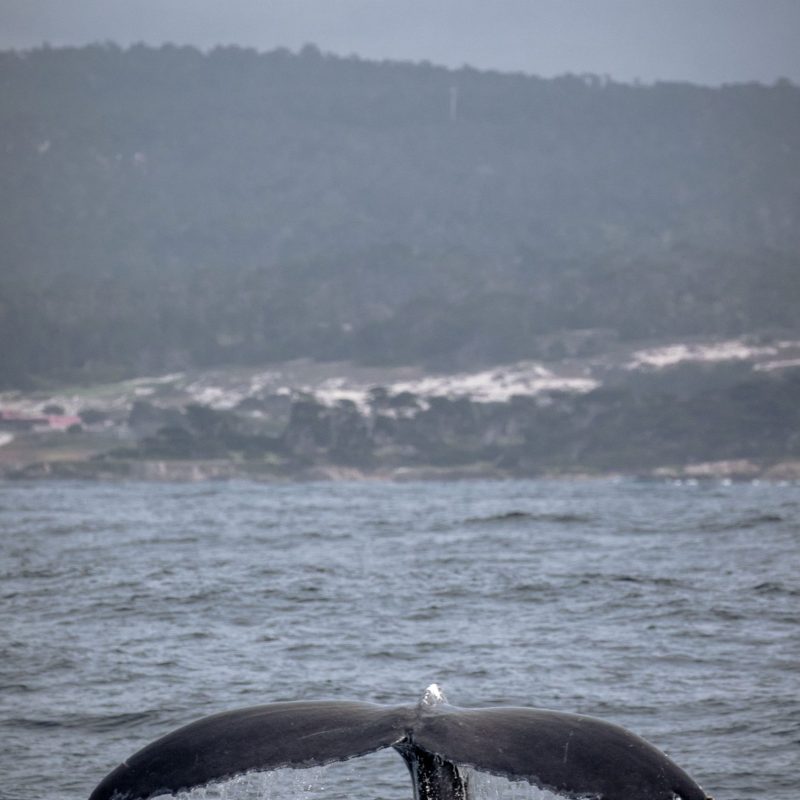 a man riding a wave on top of a body of water