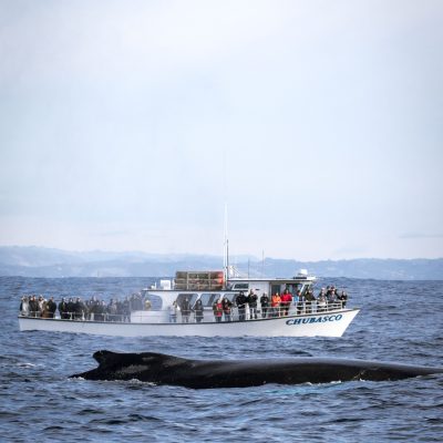a small boat in a large body of water
