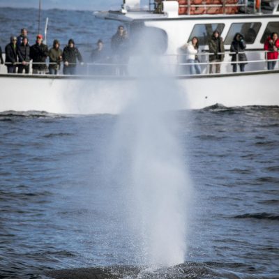a group of people on a boat in the water