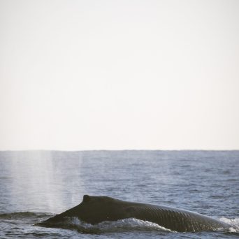 a man riding a wave on top of a body of water
