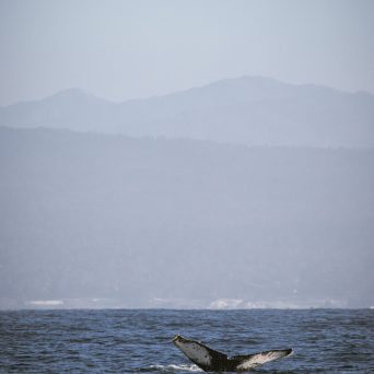 a body of water with a mountain in the background