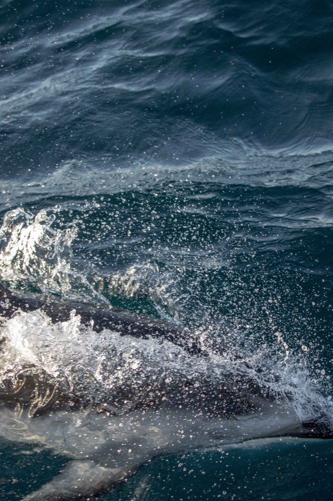 a man riding a wave on top of a body of water