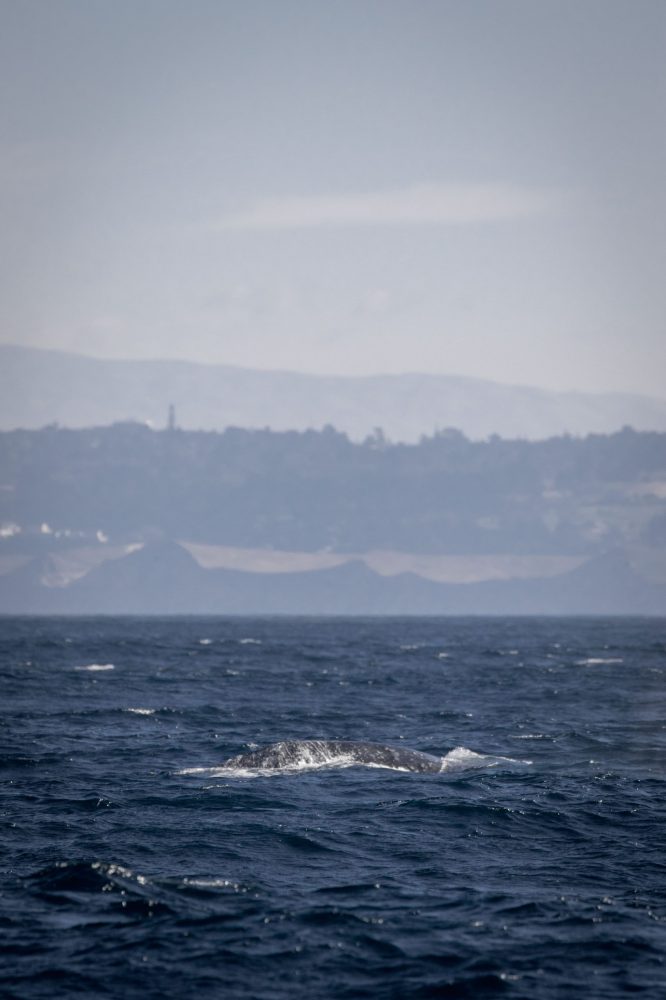 a body of water with a mountain in the ocean