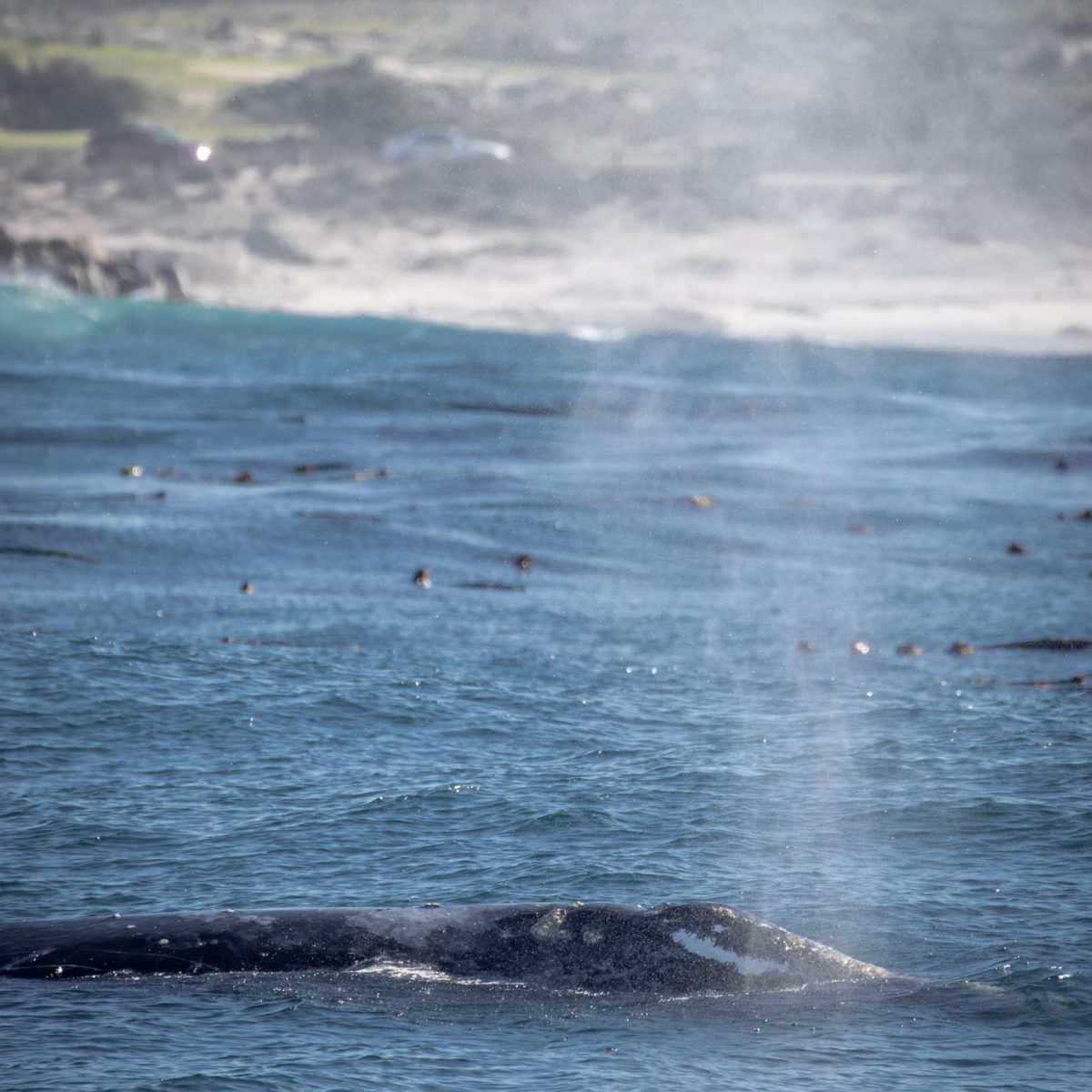 a small boat in a body of water