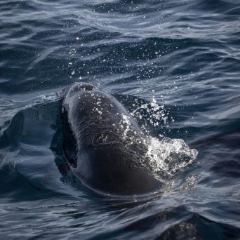 a man riding a wave on top of a body of water