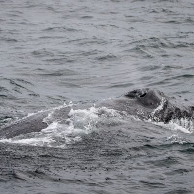 a man riding a wave on a surfboard in the ocean