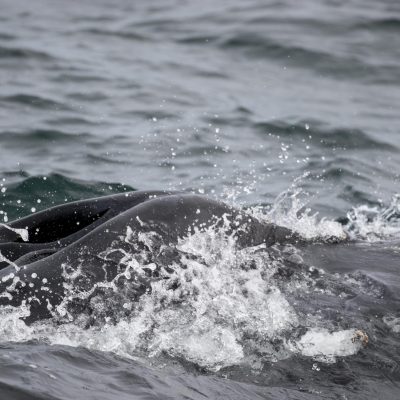a person riding a wave on a surfboard in the ocean