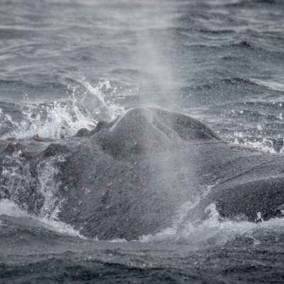 a man riding a wave on top of a body of water
