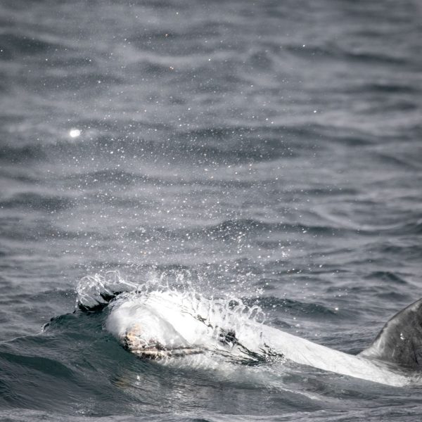 a man riding a wave on top of a body of water