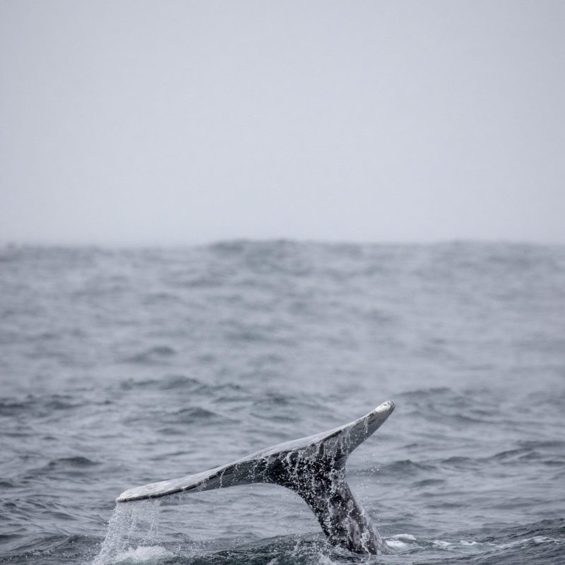 a man riding a wave on top of a body of water