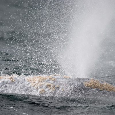 a man riding a wave on top of a body of water