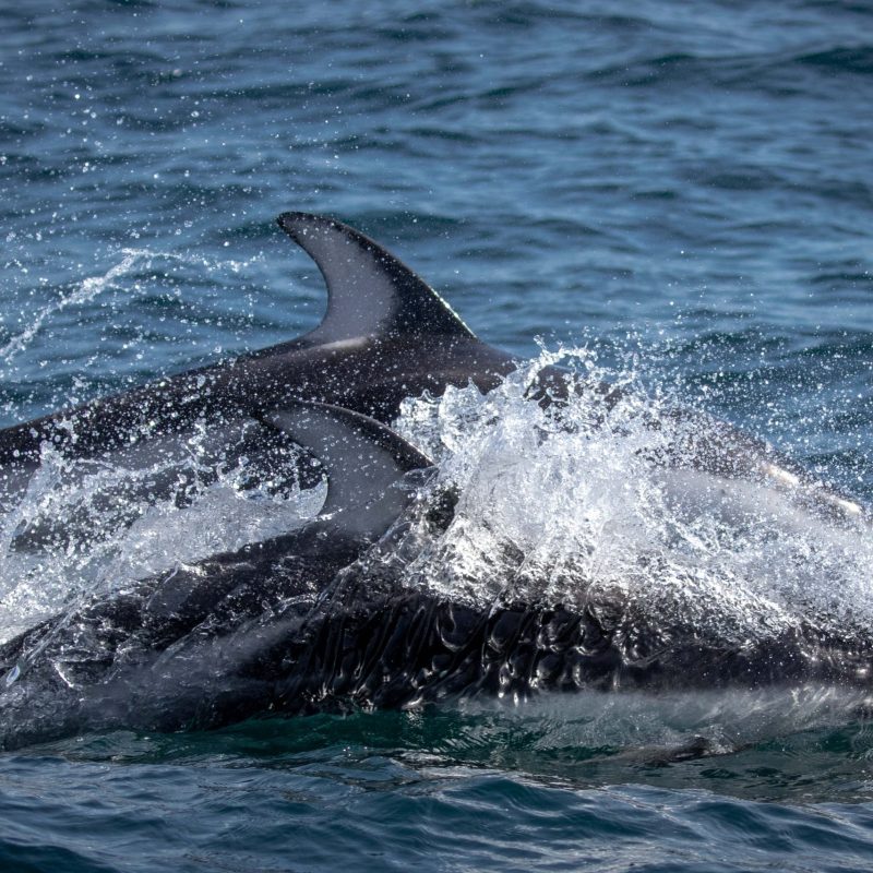 a man riding a wave on top of a body of water