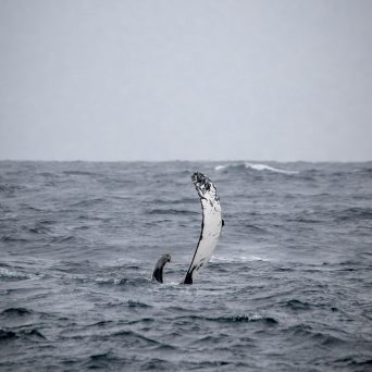a man riding a wave on top of a body of water