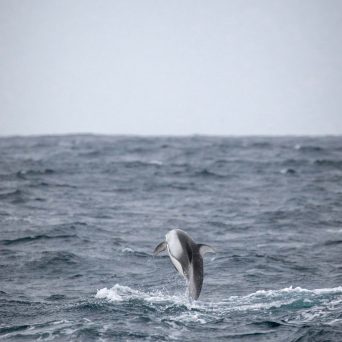 a man flying through the air while riding a wave in the ocean