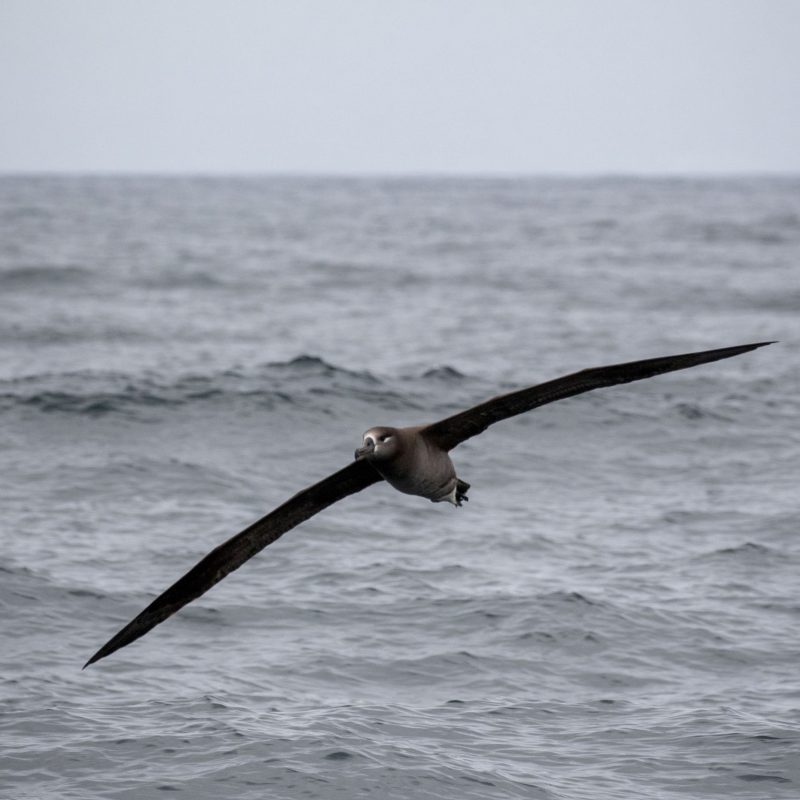a large body of water
