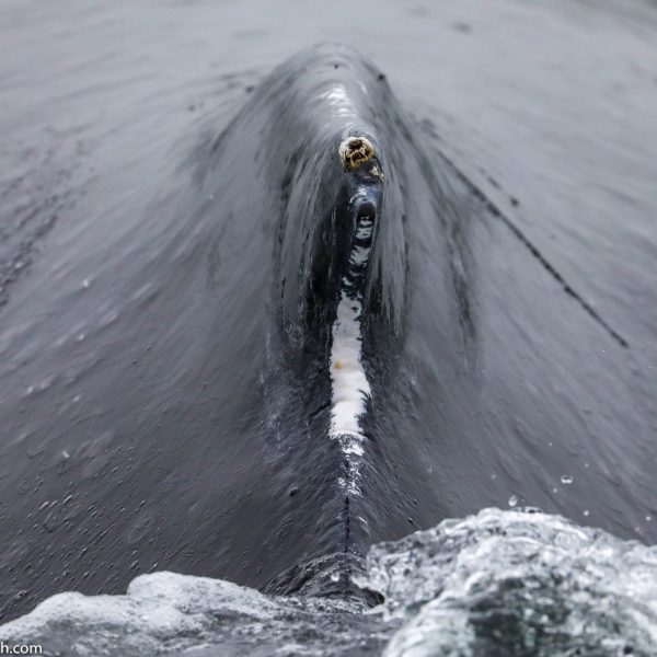 a man riding a wave on top of a snow covered mountain