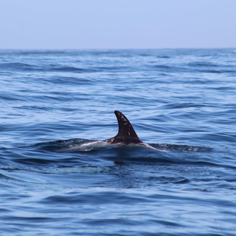 a man riding a wave on a surfboard in the ocean