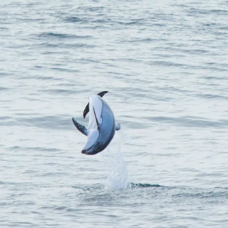 a man riding a wave on top of a body of water