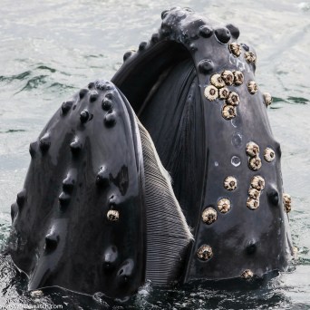 a person standing next to a body of water