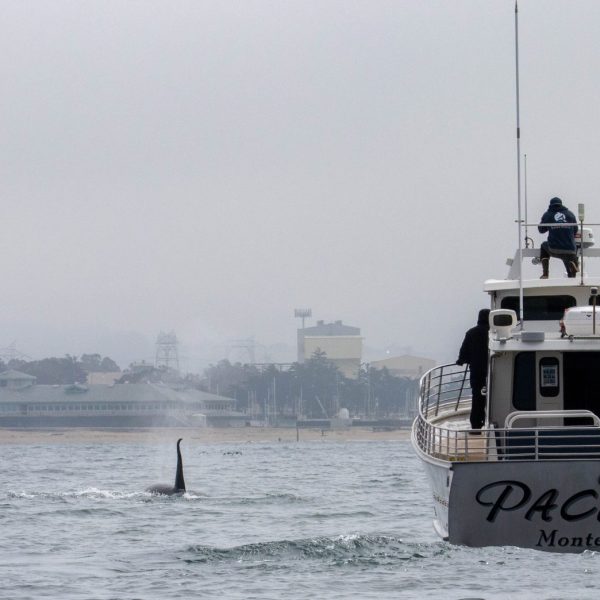 a small boat in a large body of water
