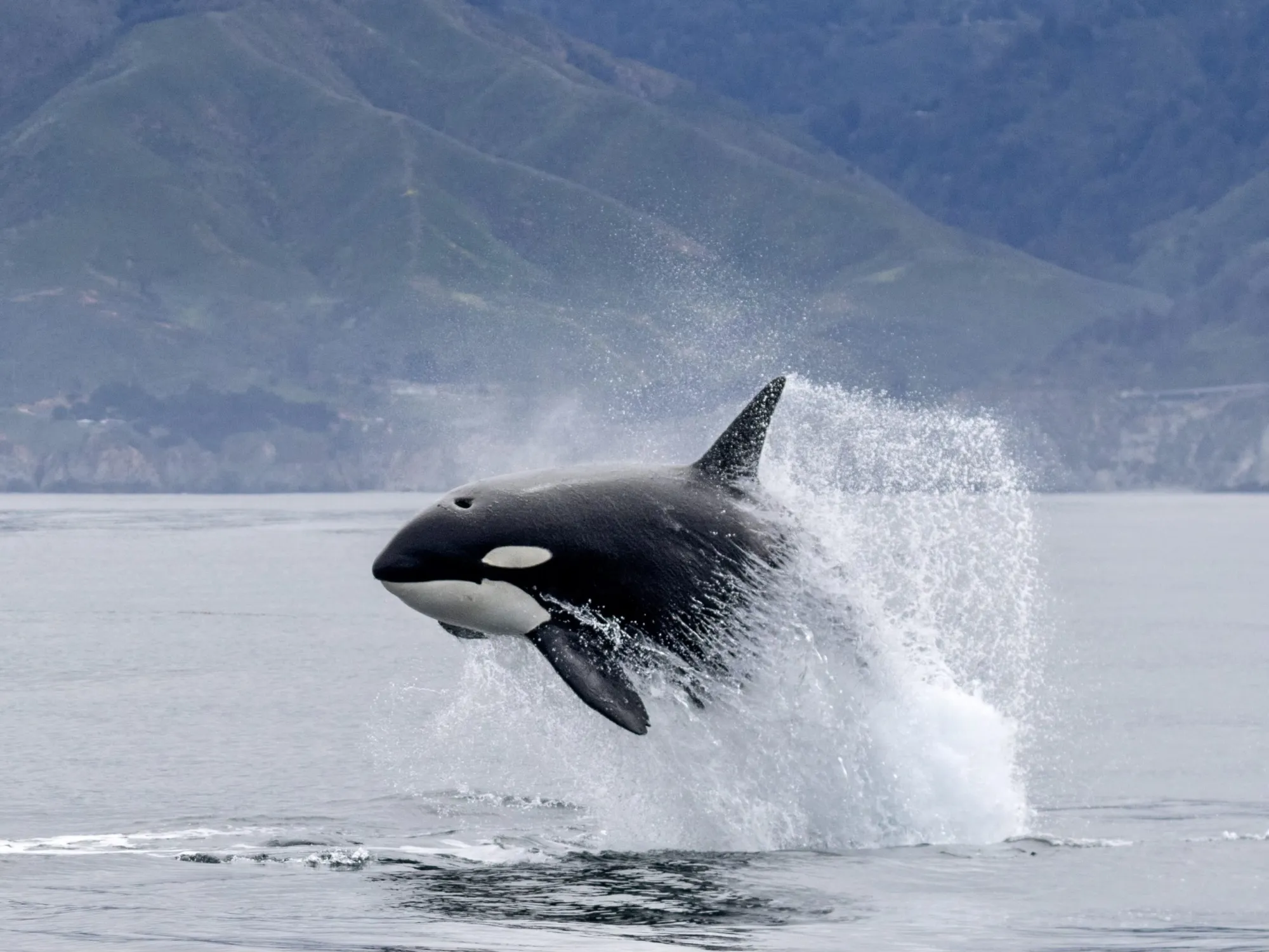 -MU-6524 a man riding a wave on top of a body of water