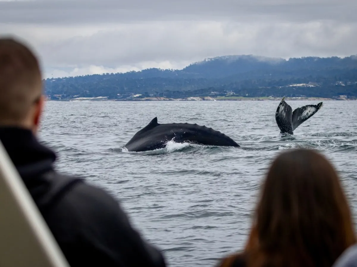 a close up of a man in a boat on a body of water