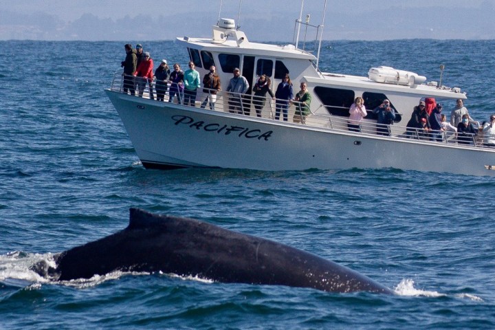 a small boat in a large body of water