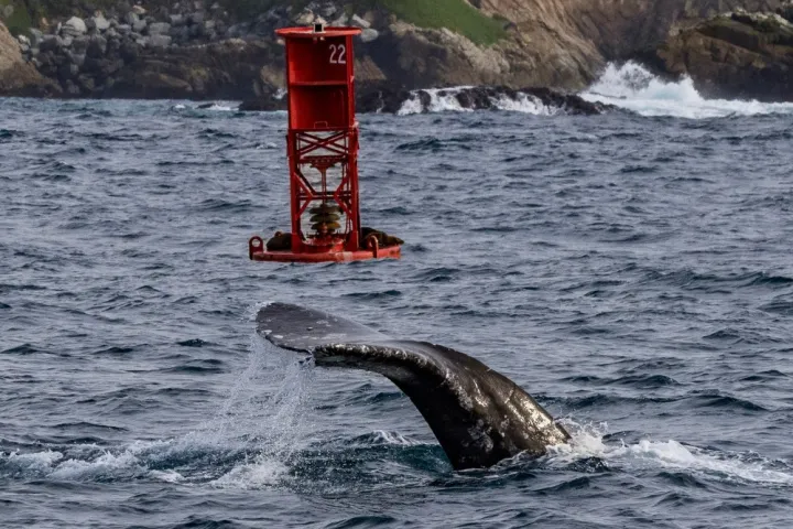 a large body of water with a mountain in the background